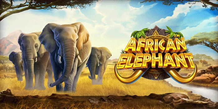 Pola Menang Slot African Elephant Yang Harus Dicoba